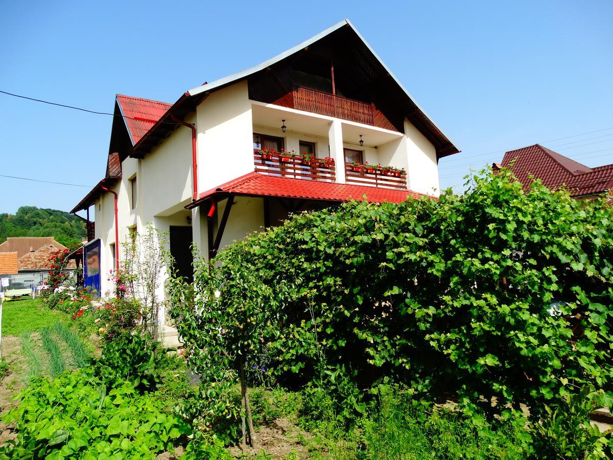 Pensiunea Casa Elena Corbeni Εξωτερικό φωτογραφία